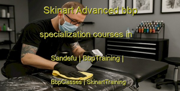 Skinart Advanced bbp specialization courses in Sandefu | BbpTraining | BbpClasses | SkinartTraining-the Democratic Republic of the Congo